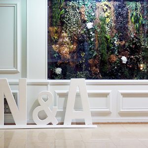 IMG_20170324_140151 IMG_20170324_140151